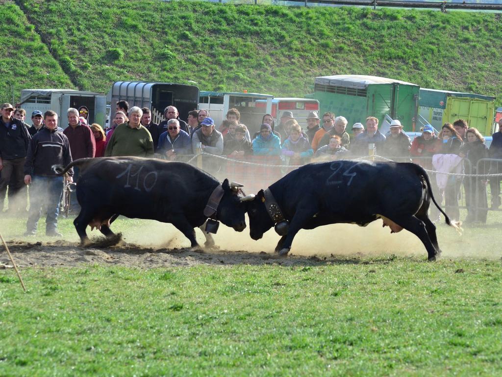 Belvilla By Oyo Chalet Antey Quadri C Zewnętrze zdjęcie